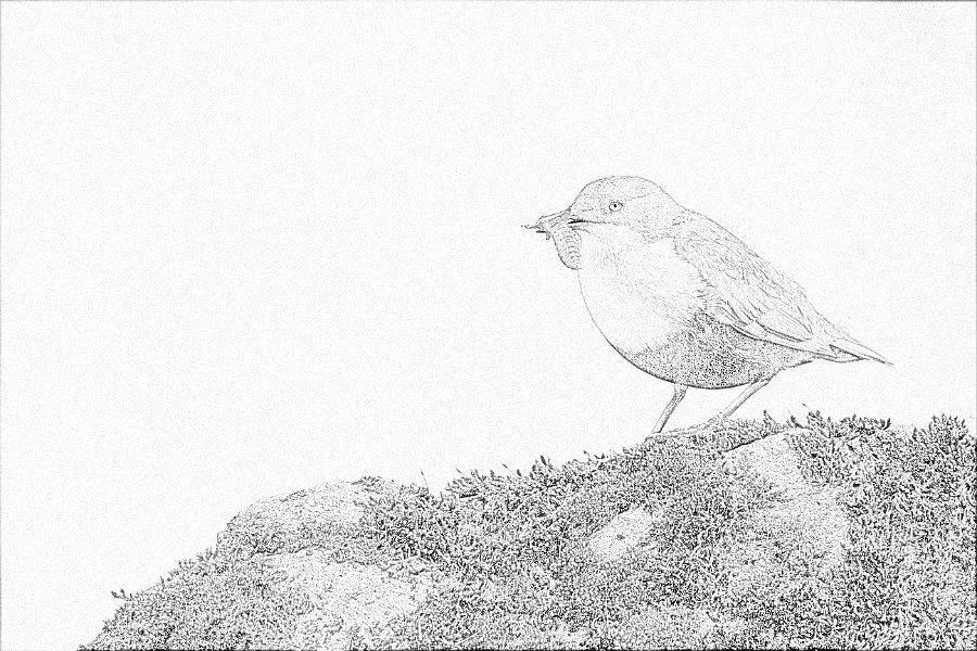 013-DX5Q7155 linedraw